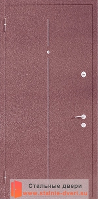 Порошковая дверь с рисунком PR-001