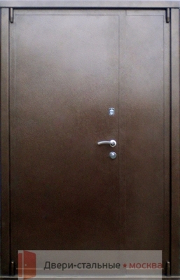 Тамбурная дверь DMP-014