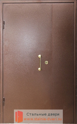 Тамбурная дверь DMP-004