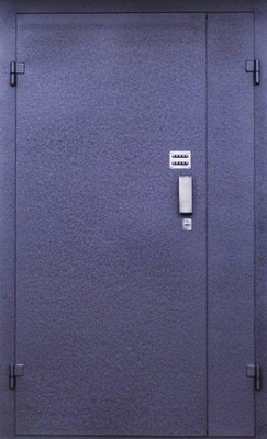 Тамбурная дверь DMP-006
